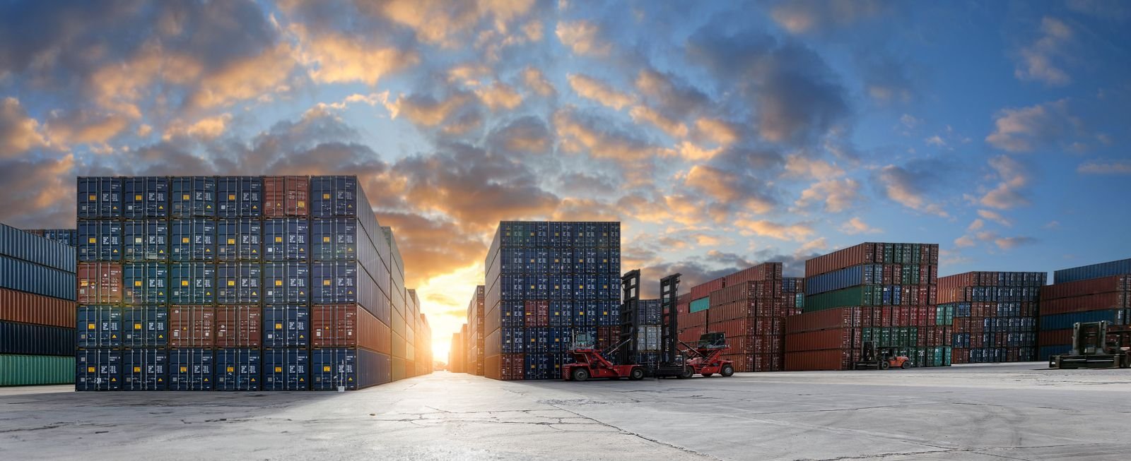 Master Auto hakkında